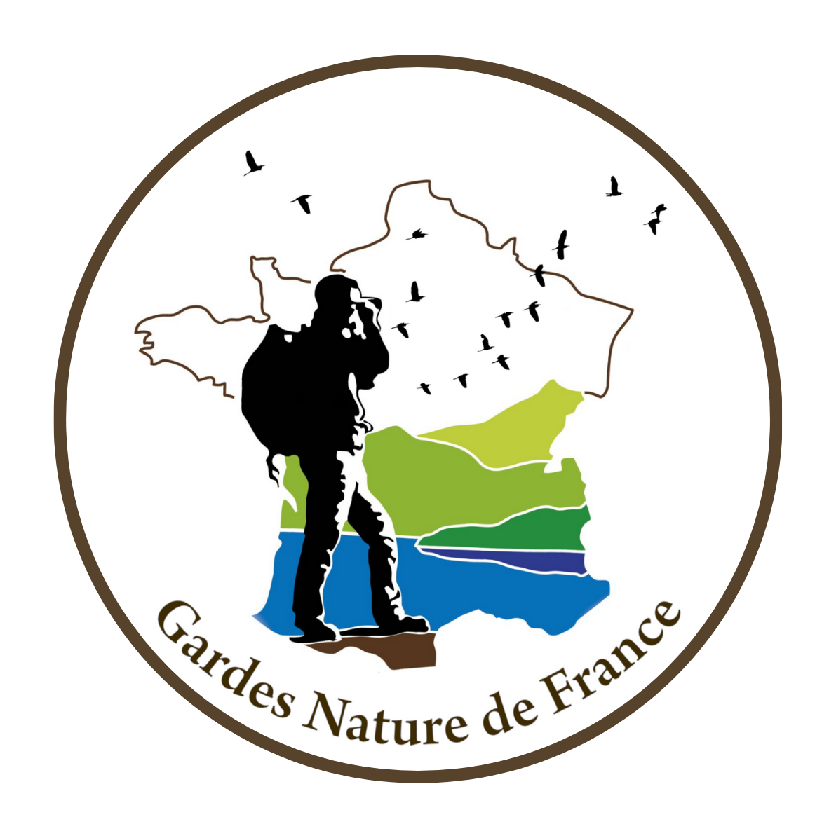 Logo GNF